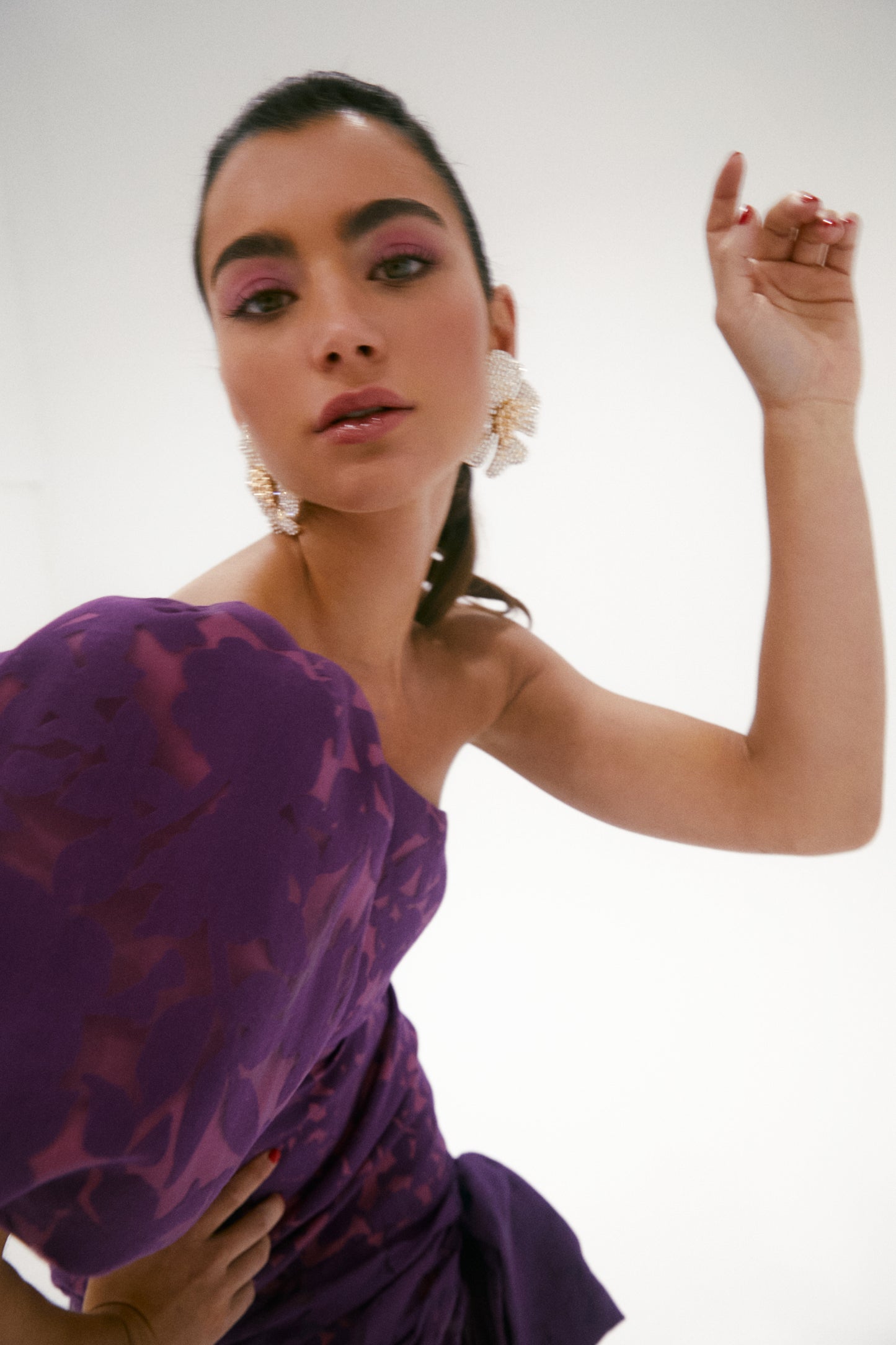 FELISA